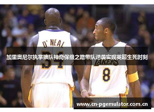 加里奥尼尔执掌狼队神奇保级之路带队逆袭实现英超生死时刻 加里奥尼尔执掌狼队神奇保级之路带队逆袭实现英超生死时刻
