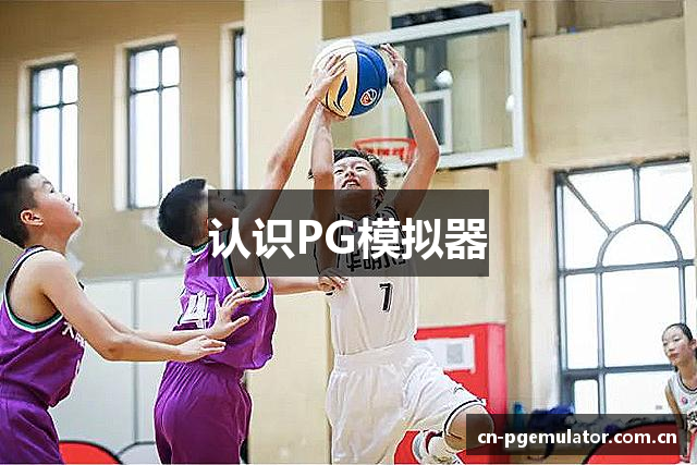 认识PG模拟器